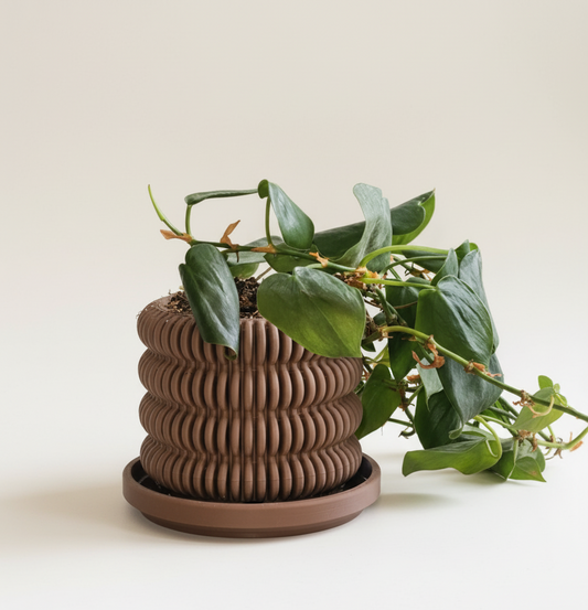 Spire Planter